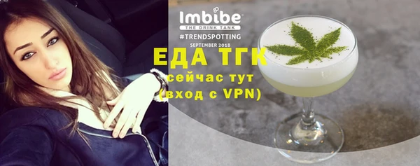 шишки Няндома