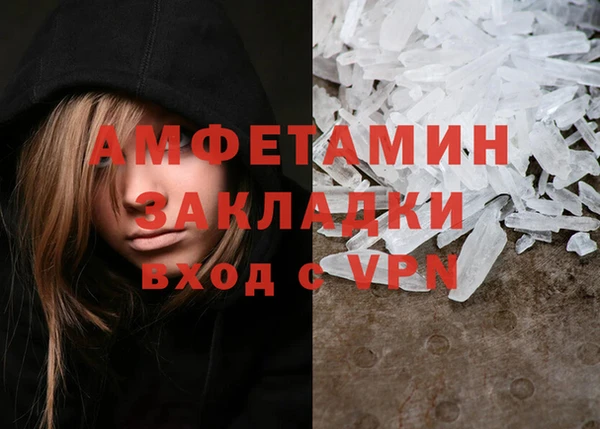 шишки Няндома
