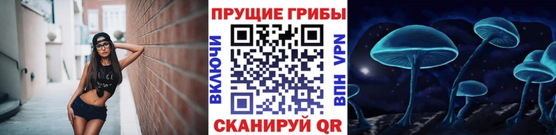 Псилоцибиновые грибы GOLDEN TEACHER  мега ссылка  Орехово-Зуево  как найти закладки 