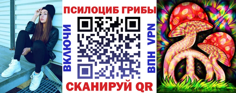 Псилоцибиновые грибы прущие грибы Орехово-Зуево
